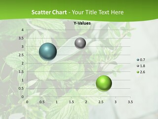 Seasoning True Myrtle Ingredient PowerPoint Template