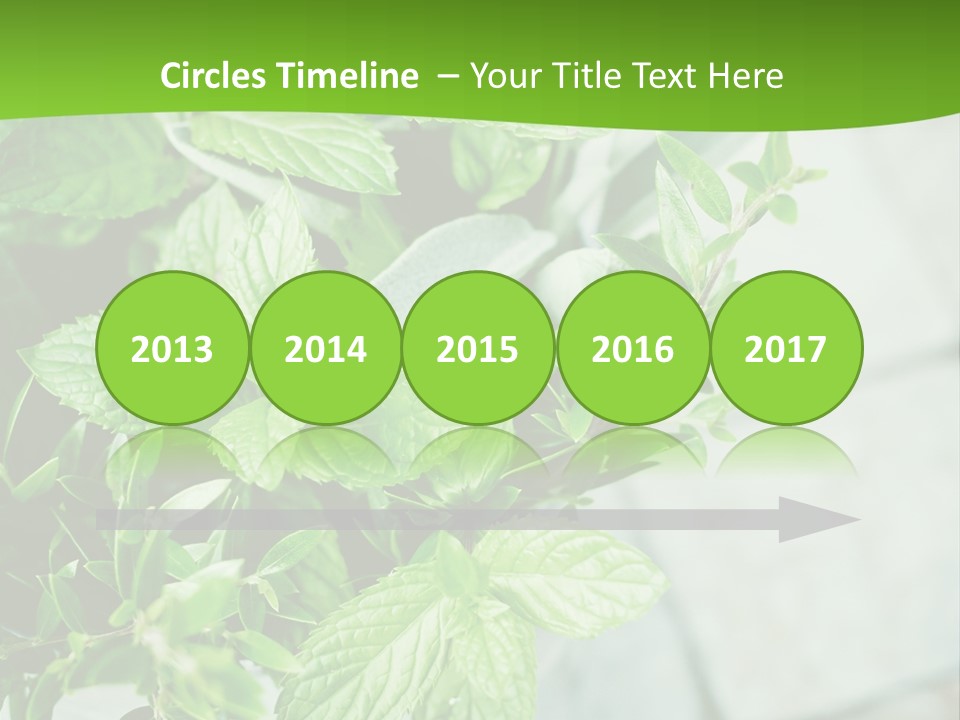 Seasoning True Myrtle Ingredient PowerPoint Template