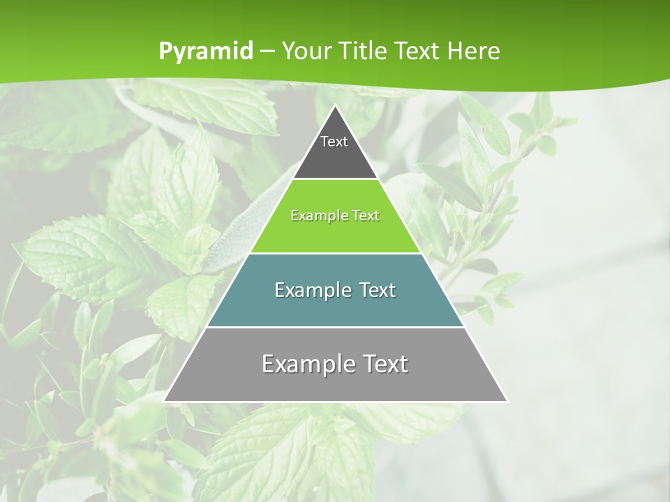 Seasoning True Myrtle Ingredient PowerPoint Template