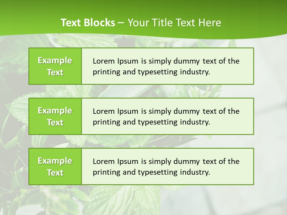 Seasoning True Myrtle Ingredient PowerPoint Template