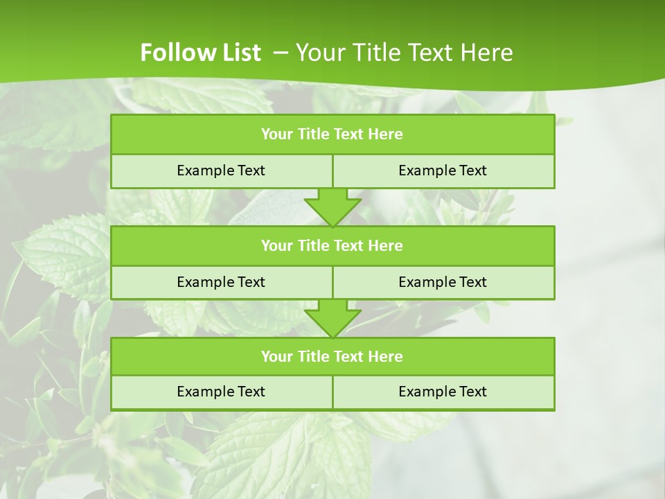 Seasoning True Myrtle Ingredient PowerPoint Template