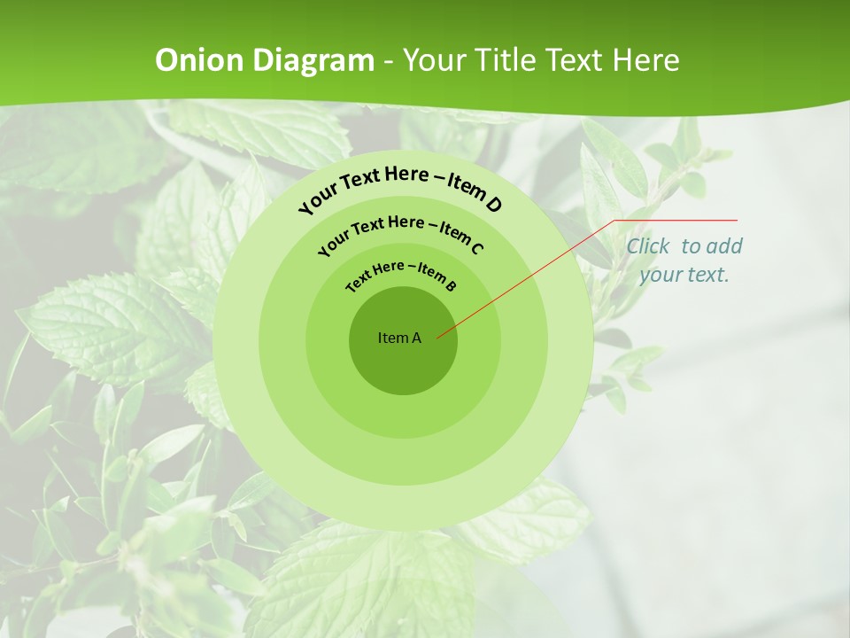 Seasoning True Myrtle Ingredient PowerPoint Template