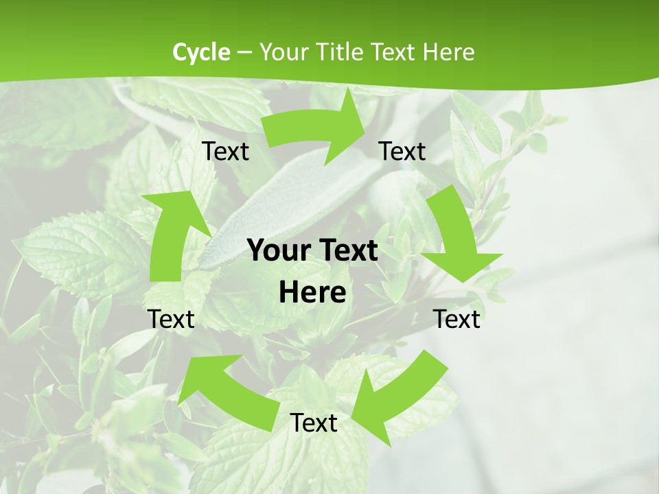 Seasoning True Myrtle Ingredient PowerPoint Template