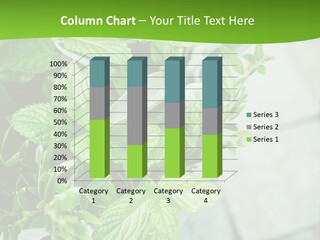 Seasoning True Myrtle Ingredient PowerPoint Template