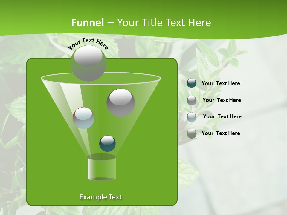 Seasoning True Myrtle Ingredient PowerPoint Template