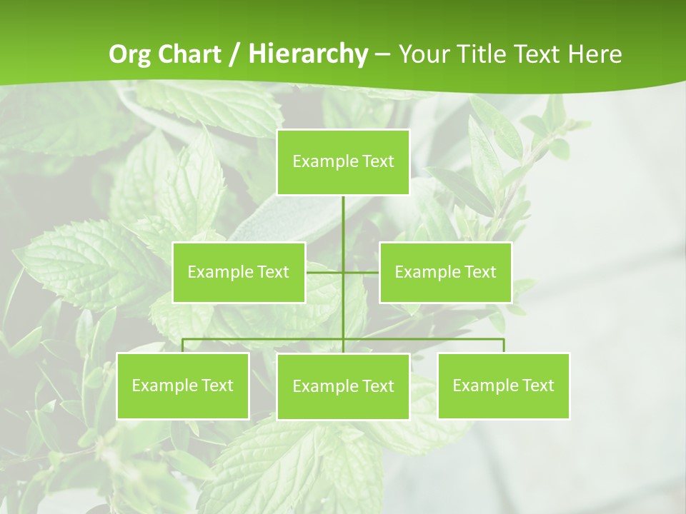 Seasoning True Myrtle Ingredient PowerPoint Template