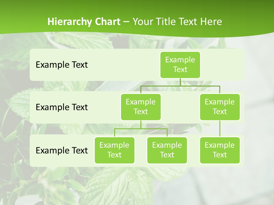 Seasoning True Myrtle Ingredient PowerPoint Template