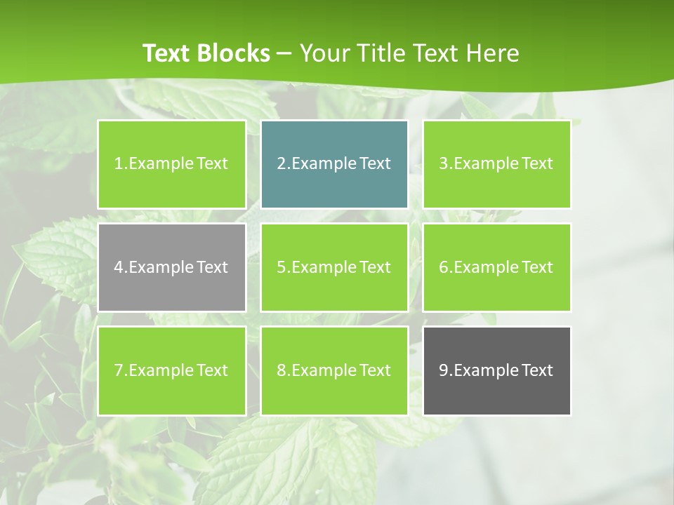 Seasoning True Myrtle Ingredient PowerPoint Template