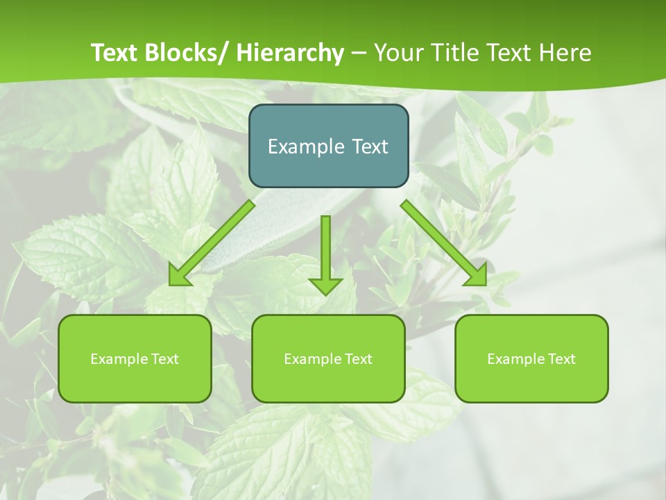 Seasoning True Myrtle Ingredient PowerPoint Template