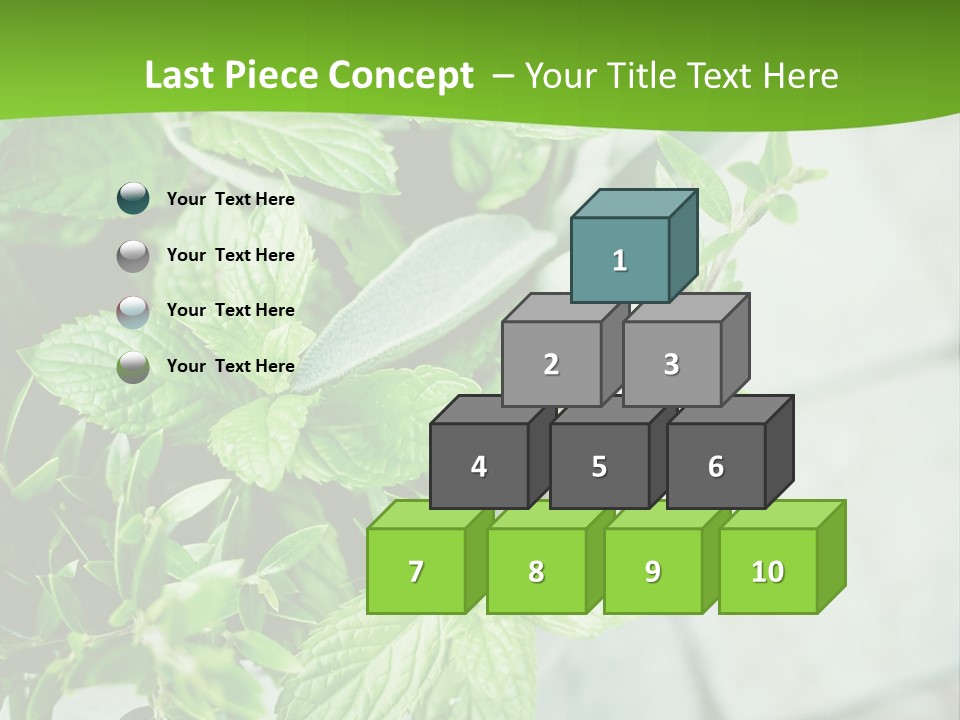 Seasoning True Myrtle Ingredient PowerPoint Template
