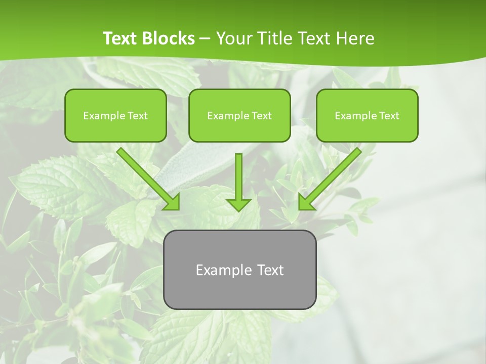 Seasoning True Myrtle Ingredient PowerPoint Template