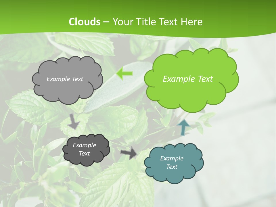 Seasoning True Myrtle Ingredient PowerPoint Template