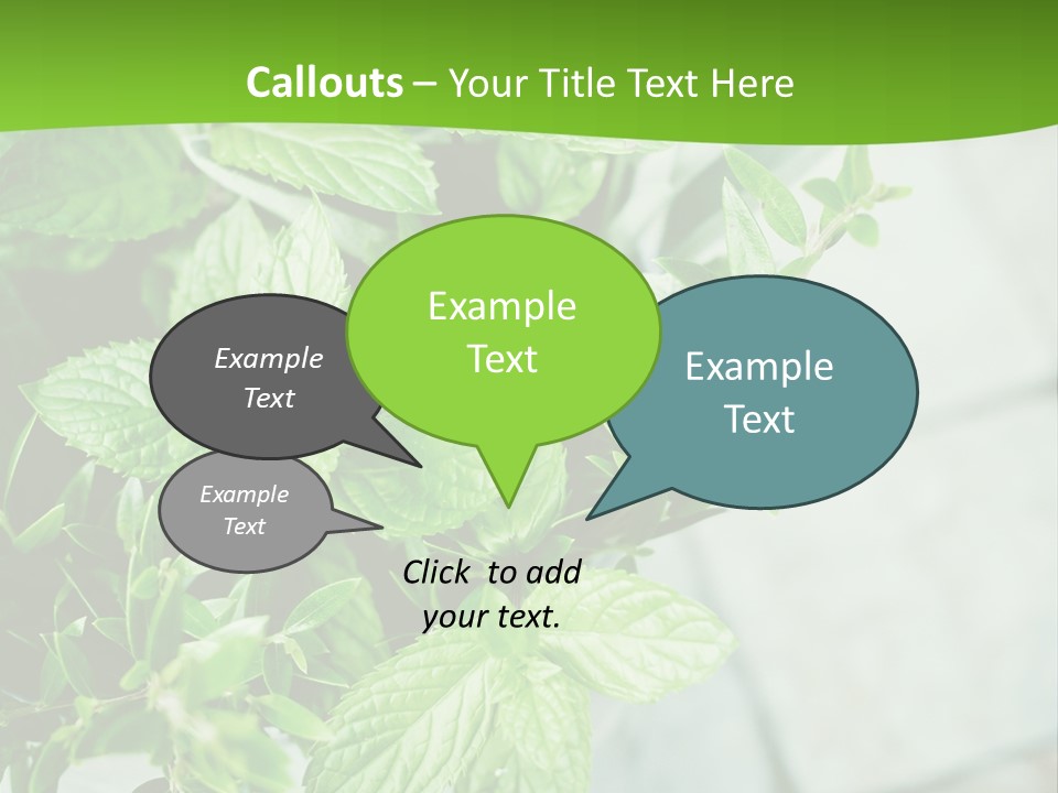 Seasoning True Myrtle Ingredient PowerPoint Template
