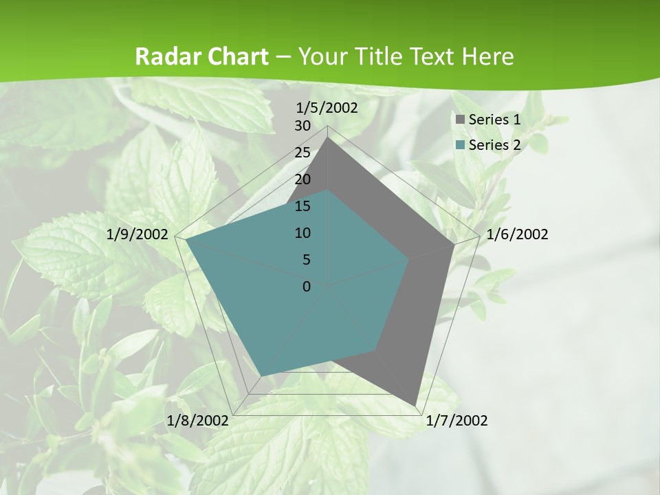Seasoning True Myrtle Ingredient PowerPoint Template