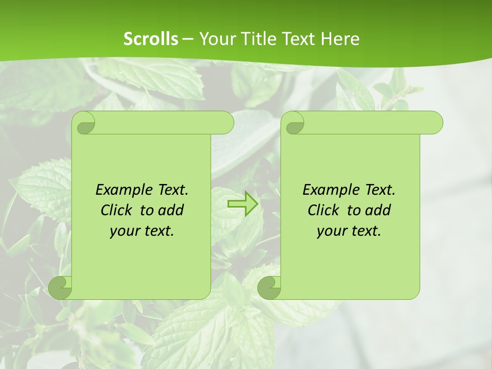 Seasoning True Myrtle Ingredient PowerPoint Template