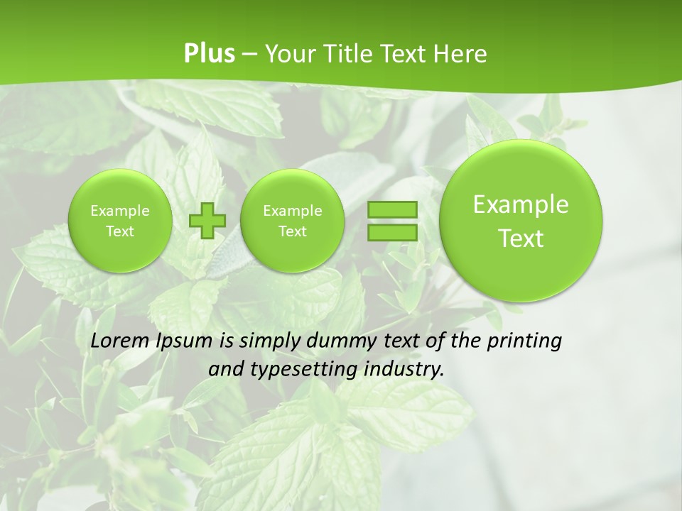 Seasoning True Myrtle Ingredient PowerPoint Template