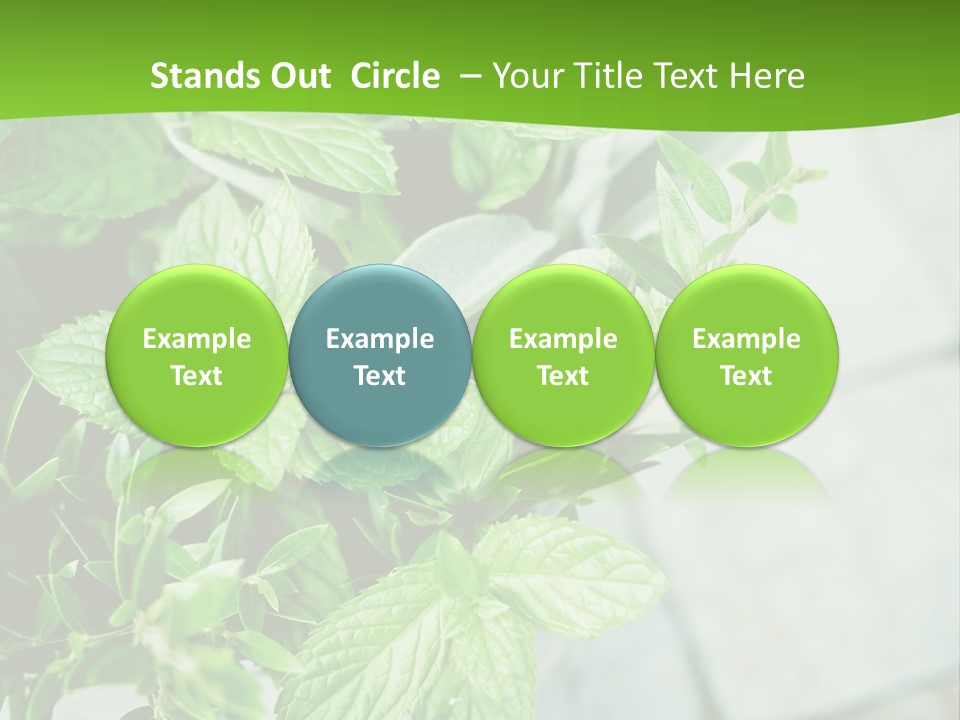 Seasoning True Myrtle Ingredient PowerPoint Template