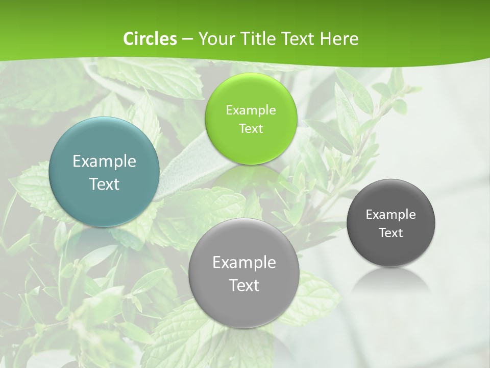 Seasoning True Myrtle Ingredient PowerPoint Template