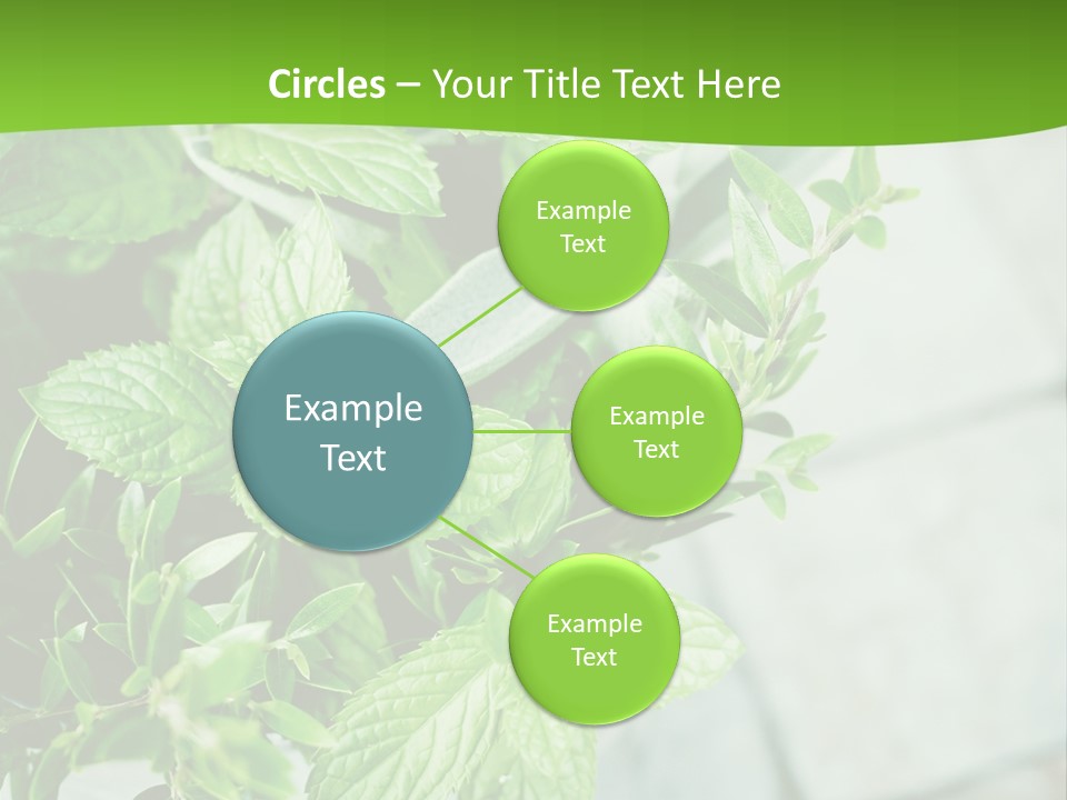 Seasoning True Myrtle Ingredient PowerPoint Template