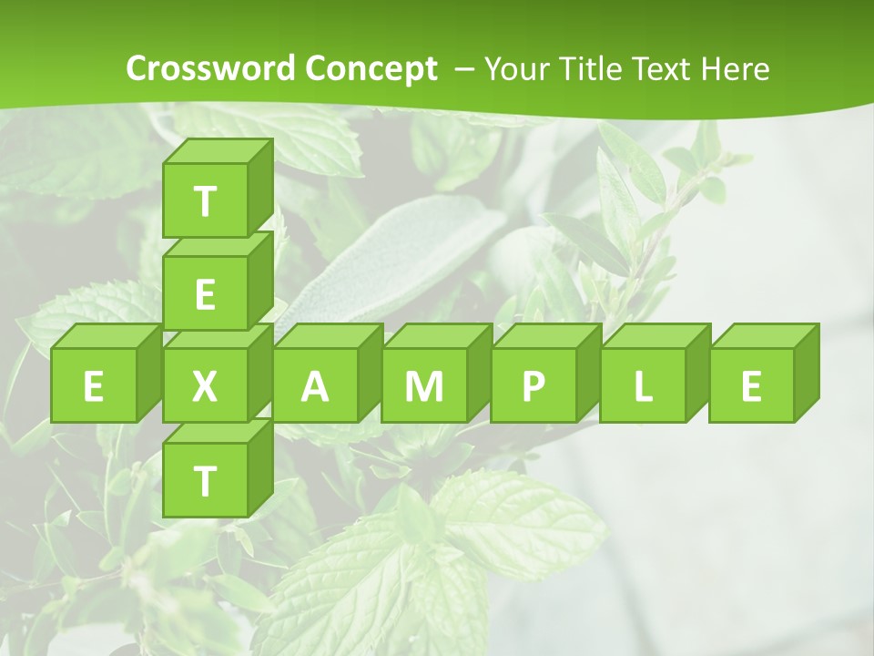 Seasoning True Myrtle Ingredient PowerPoint Template