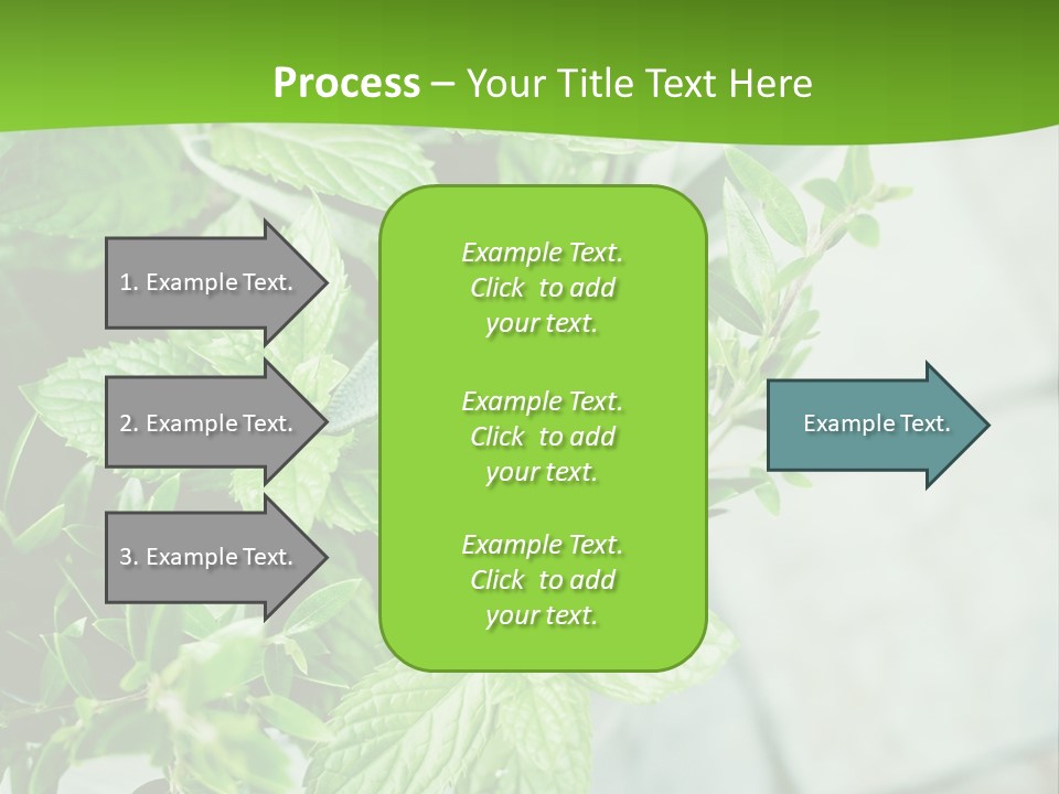Seasoning True Myrtle Ingredient PowerPoint Template