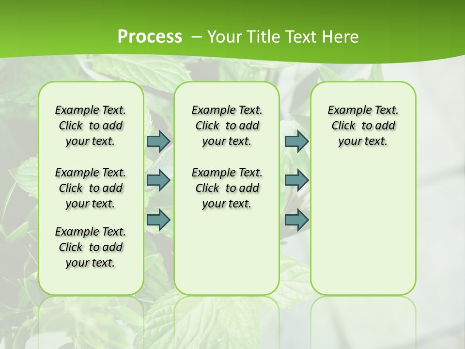 Seasoning True Myrtle Ingredient PowerPoint Template