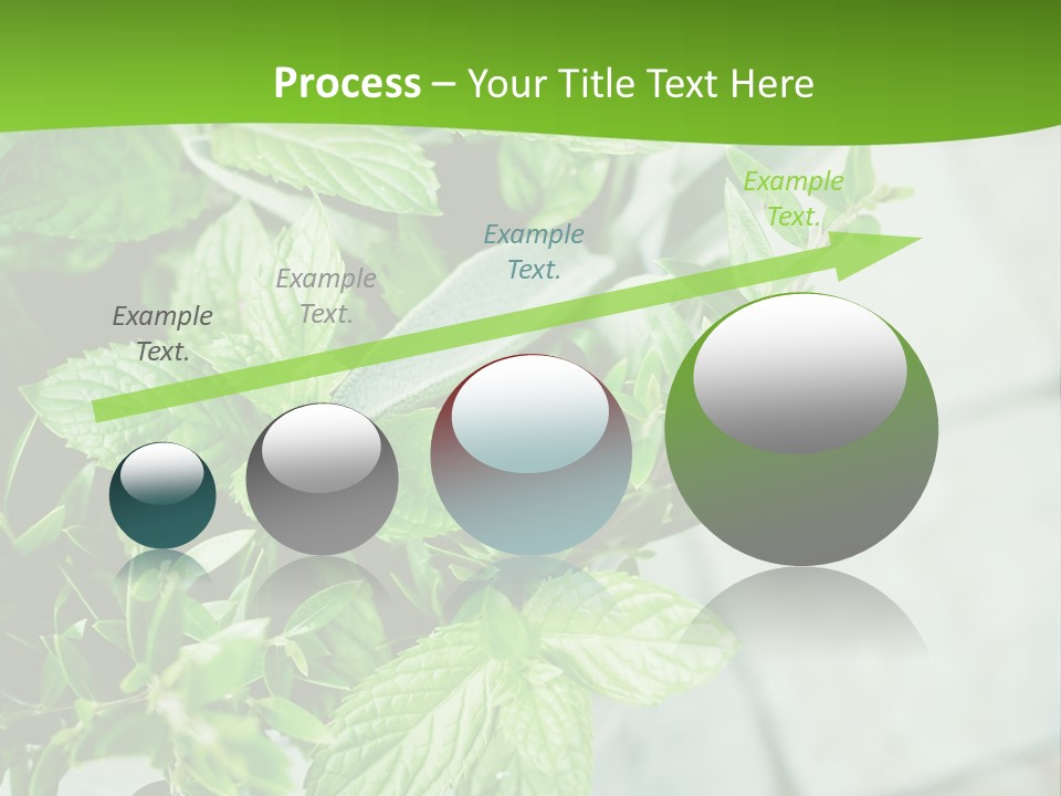 Seasoning True Myrtle Ingredient PowerPoint Template