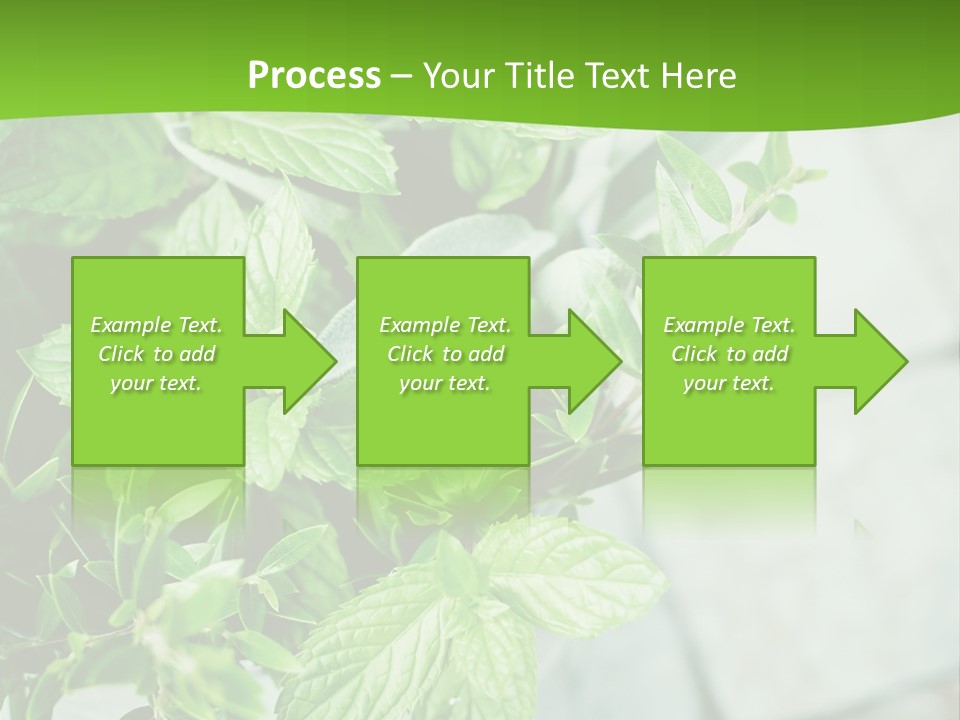 Seasoning True Myrtle Ingredient PowerPoint Template