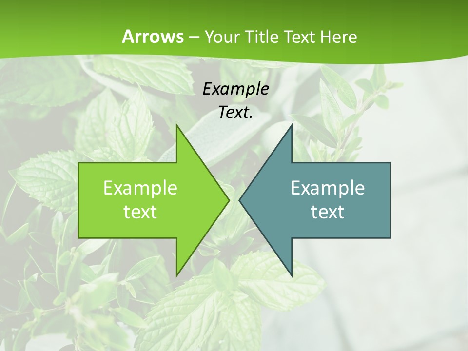 Seasoning True Myrtle Ingredient PowerPoint Template
