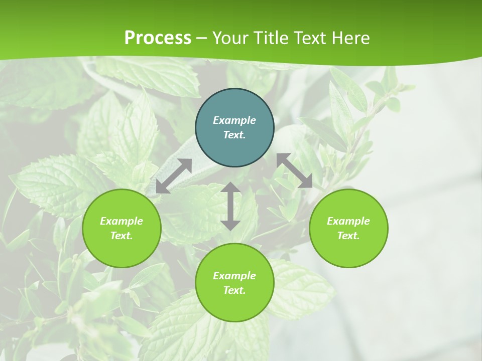 Seasoning True Myrtle Ingredient PowerPoint Template