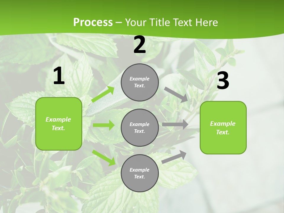 Seasoning True Myrtle Ingredient PowerPoint Template