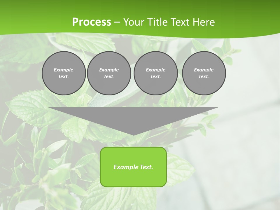 Seasoning True Myrtle Ingredient PowerPoint Template