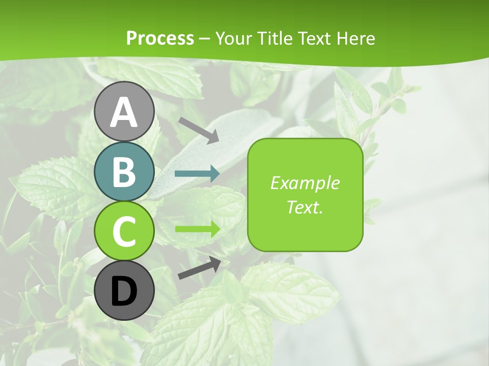Seasoning True Myrtle Ingredient PowerPoint Template