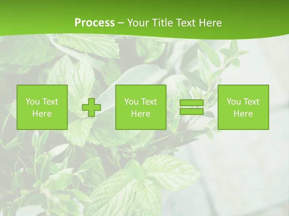 Seasoning True Myrtle Ingredient PowerPoint Template