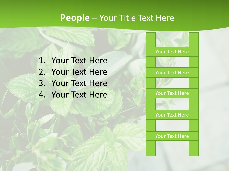 Seasoning True Myrtle Ingredient PowerPoint Template