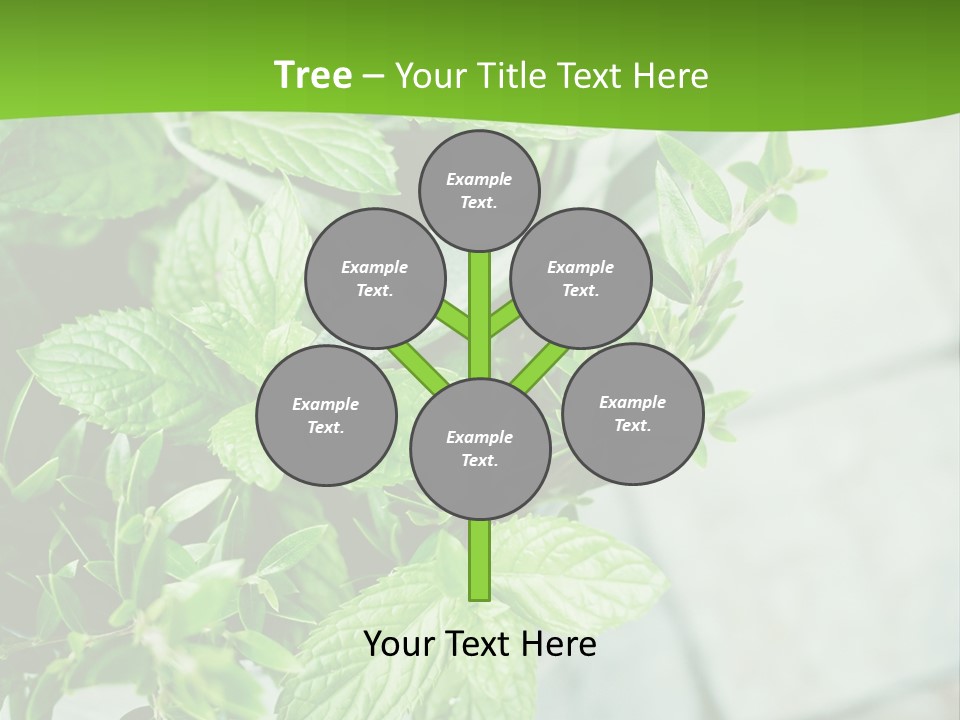 Seasoning True Myrtle Ingredient PowerPoint Template