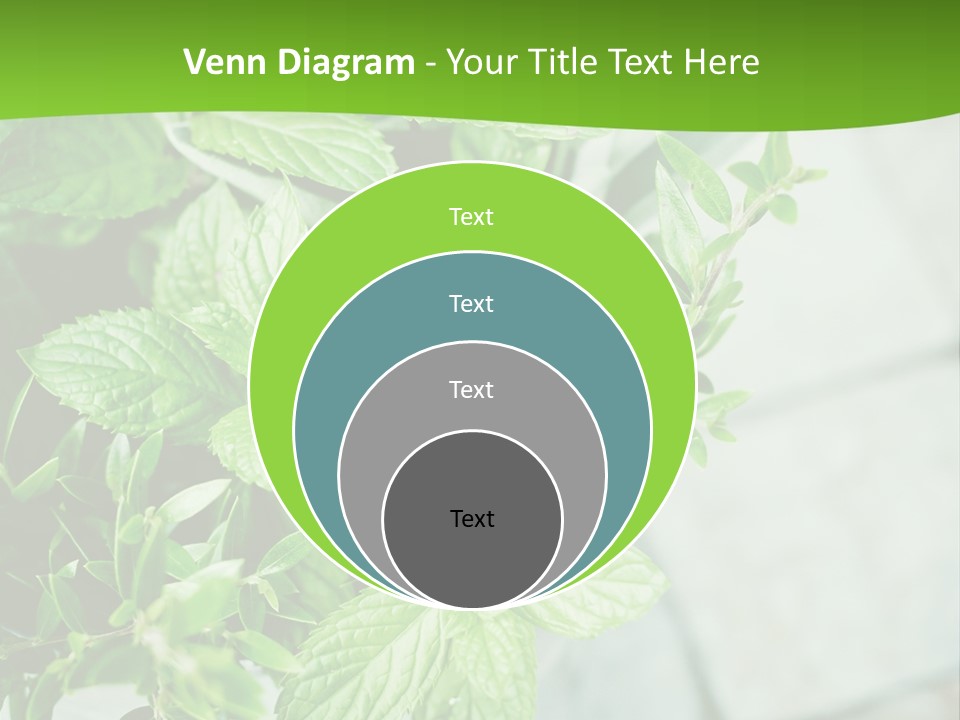 Seasoning True Myrtle Ingredient PowerPoint Template