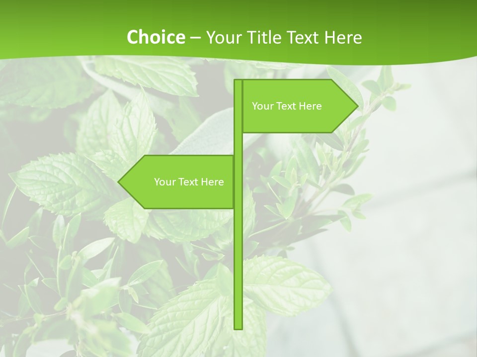 Seasoning True Myrtle Ingredient PowerPoint Template