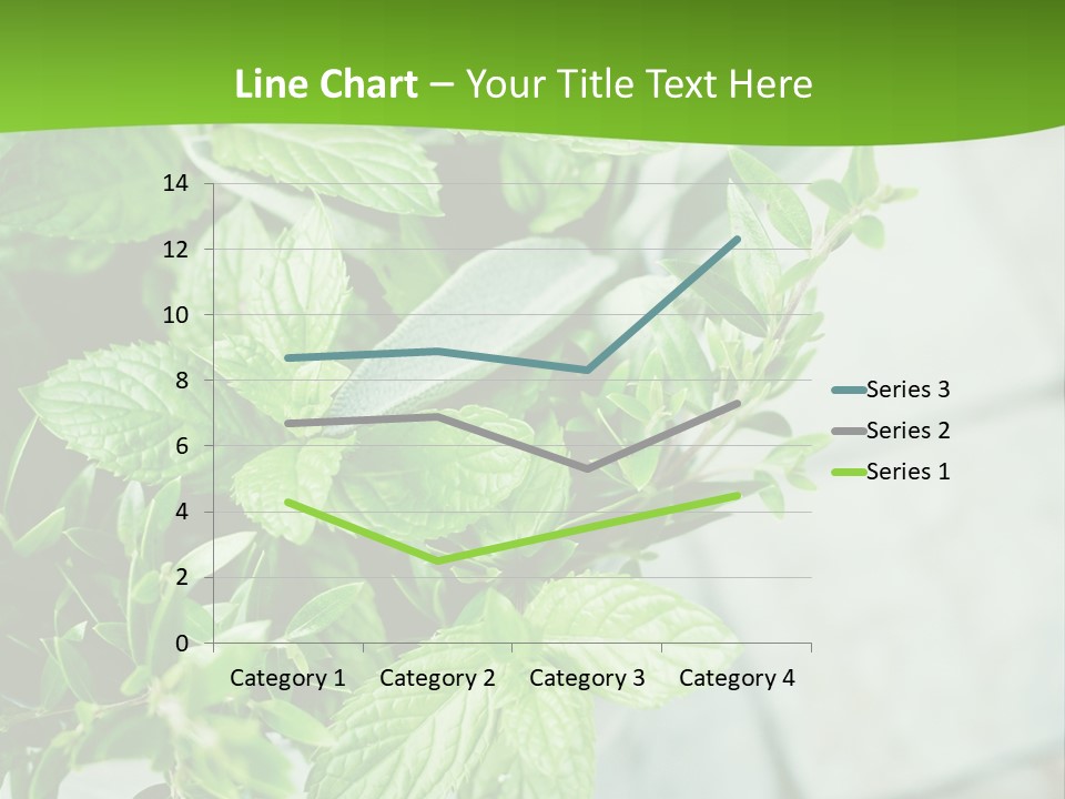 Seasoning True Myrtle Ingredient PowerPoint Template