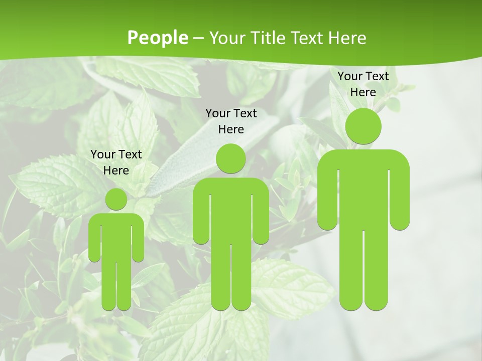 Seasoning True Myrtle Ingredient PowerPoint Template