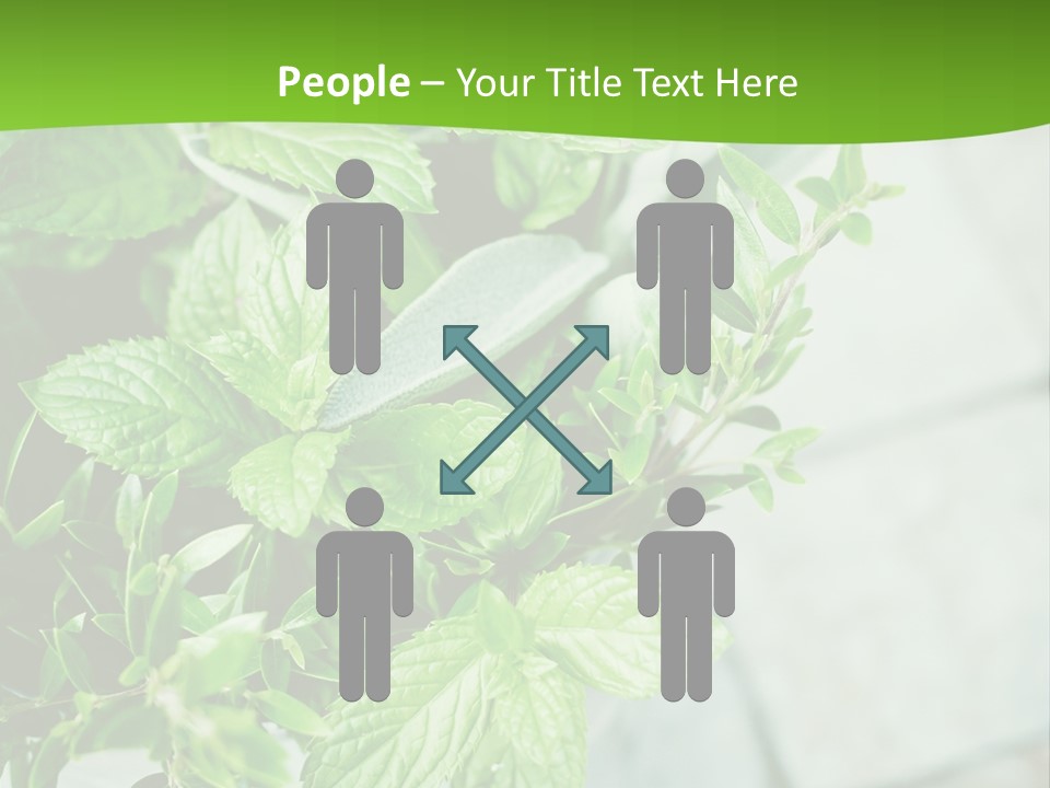 Seasoning True Myrtle Ingredient PowerPoint Template