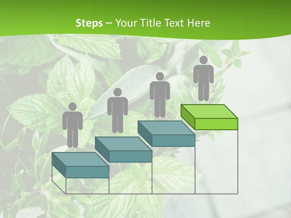 Seasoning True Myrtle Ingredient PowerPoint Template