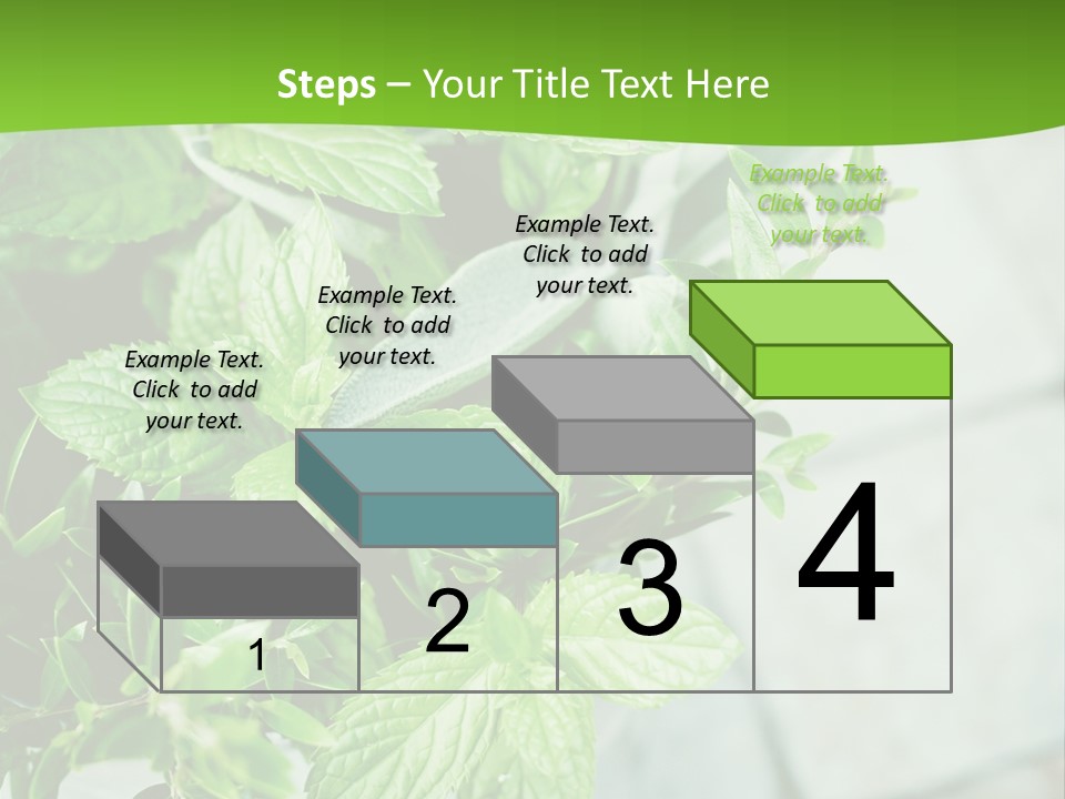Seasoning True Myrtle Ingredient PowerPoint Template