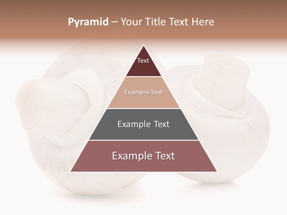 Tasty Nobody Color PowerPoint Template