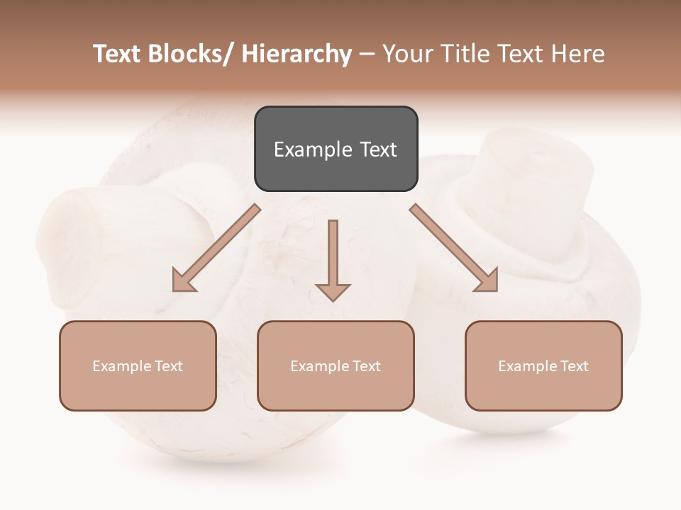 Tasty Nobody Color PowerPoint Template