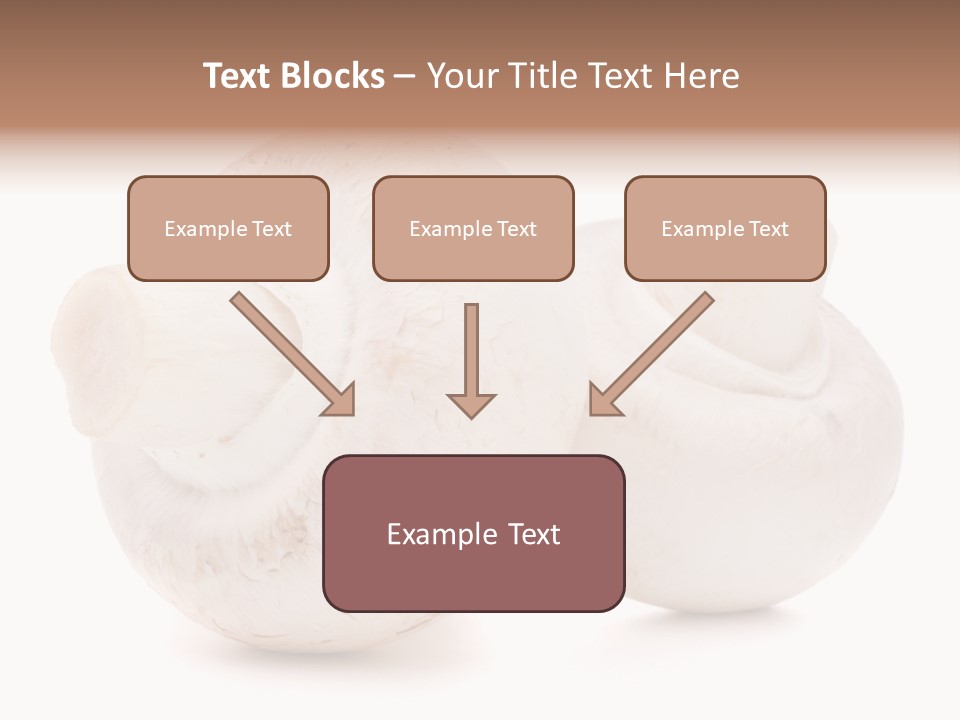 Tasty Nobody Color PowerPoint Template