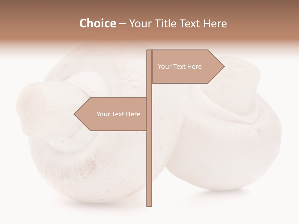 Tasty Nobody Color PowerPoint Template