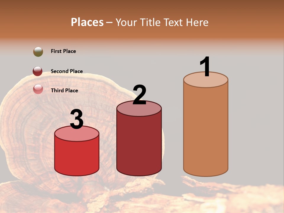 Place Of Interest Scottish Culture Rome PowerPoint Template