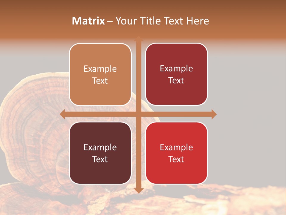 Place Of Interest Scottish Culture Rome PowerPoint Template