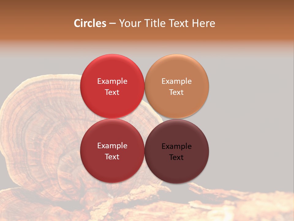 Place Of Interest Scottish Culture Rome PowerPoint Template